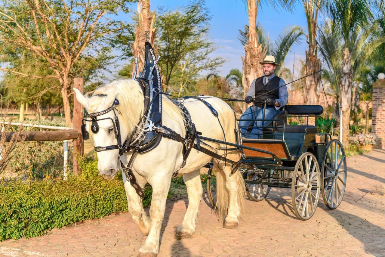Maretlwane Guesthouse Buffelspoort Ngoại thất bức ảnh